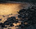 Abendsonne