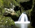 In der Orbeschlucht