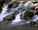 Wassertraum