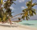 Schon wieder urlaubsreif?