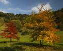 Herbstlich