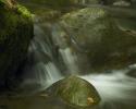 Bewegung
