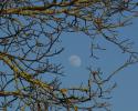 Der Mond ist aufgegangen ...