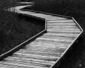 Der Weg