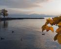 Es ist Herbst